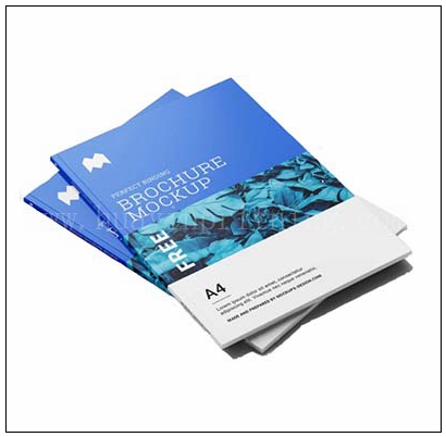 brochure online printing in China
