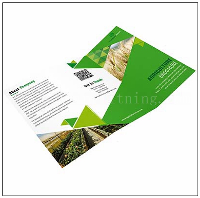 Online Printing Brochures In China