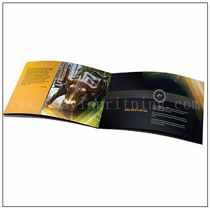 Professional Brochure Printing Services
