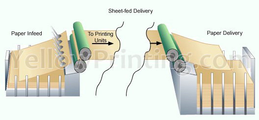 sheet-fed offset printing