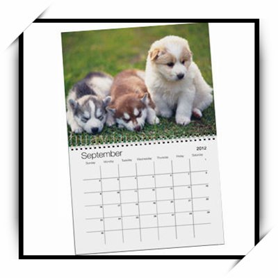 2019 Cheap Calendar Printing With Fast Lead Time