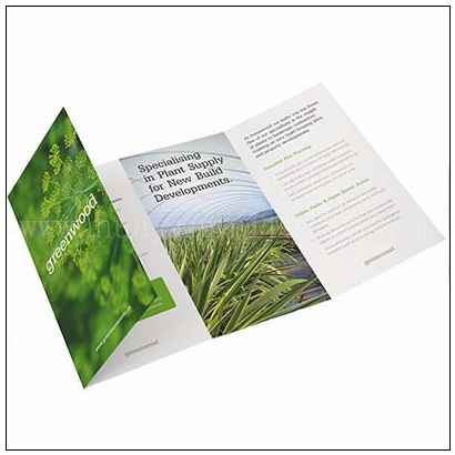 Custom Brochure Printing Services From China