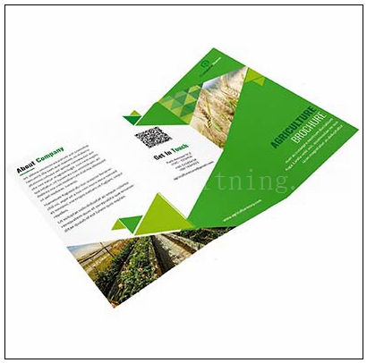 Printing Brochure From China