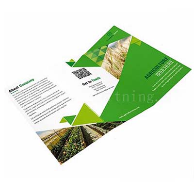 brochure printing service