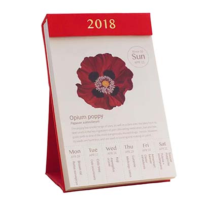 china desk calendar printing