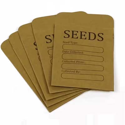 custom seeds paper envelope