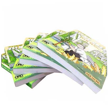 china factory offer softcover book printing service