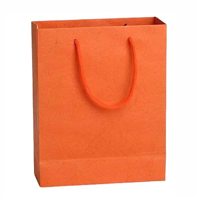 custom specialty paper bag china